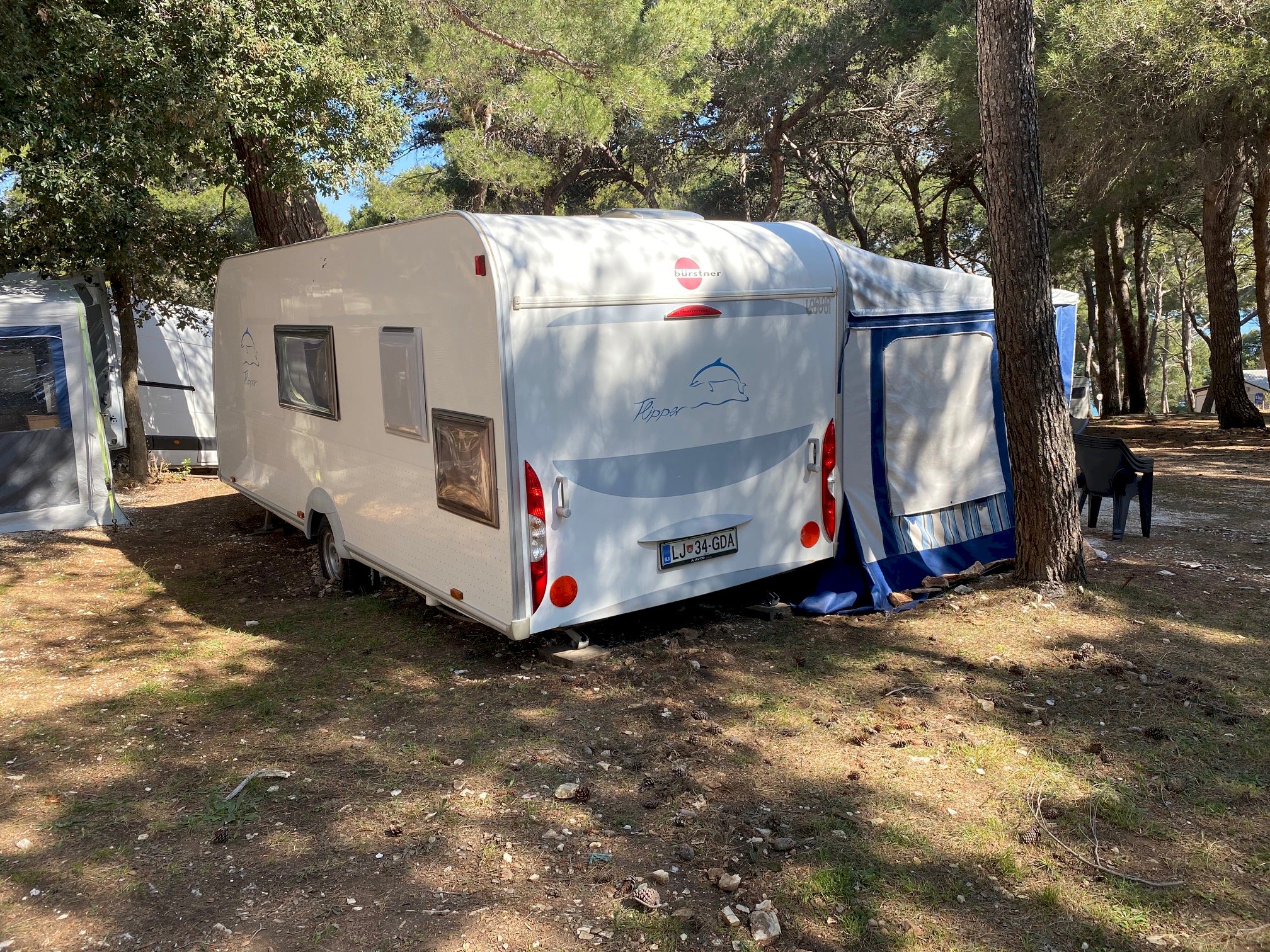 Runke - obvestilo o prostih terminih