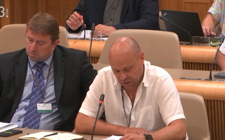 Govor podpredsednika PSS na 49. nujni seji Odbora za notranje zadeve, javno upravo in lokalno samoupravo